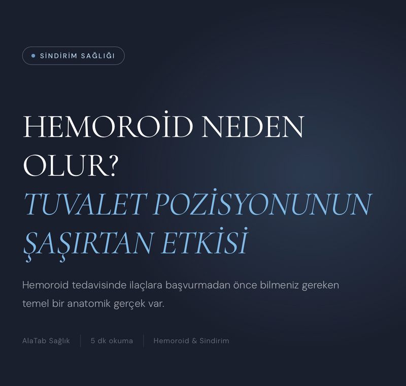 Hemoroid Neden Olur? Tuvalet Pozisyonunun Etkisi | AlaTab